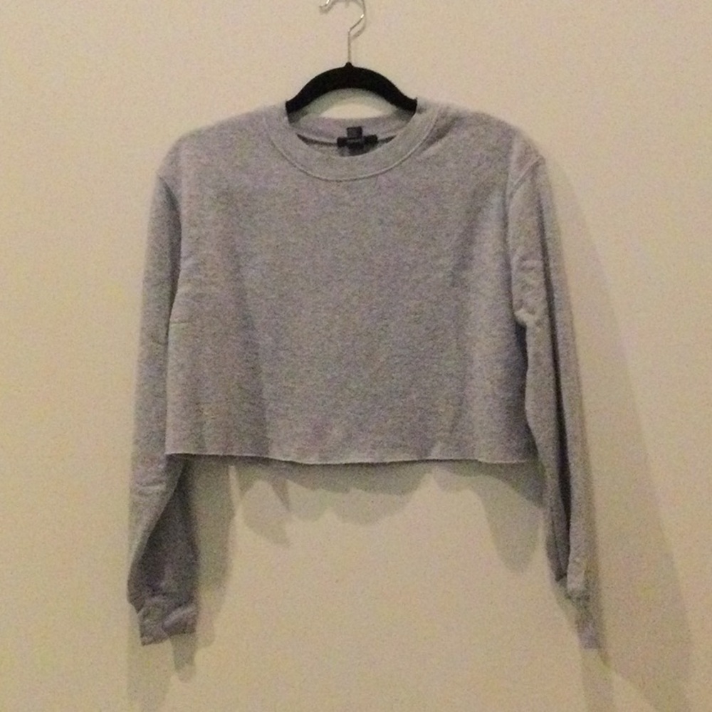 Cropped Long-Sleeve Sweatshirt - Light Gray